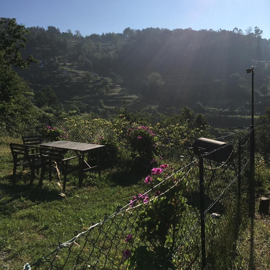 Woodpecker Yurt Hotel Santa Cruz do Douro Exterior foto