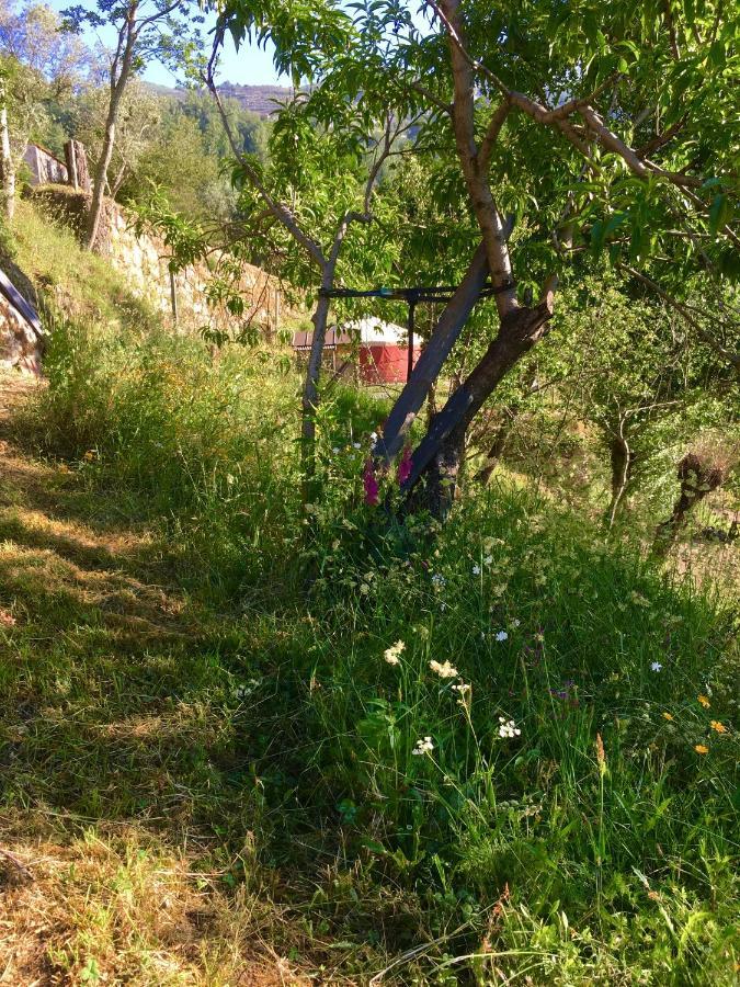 Woodpecker Yurt Hotel Santa Cruz do Douro Exterior foto