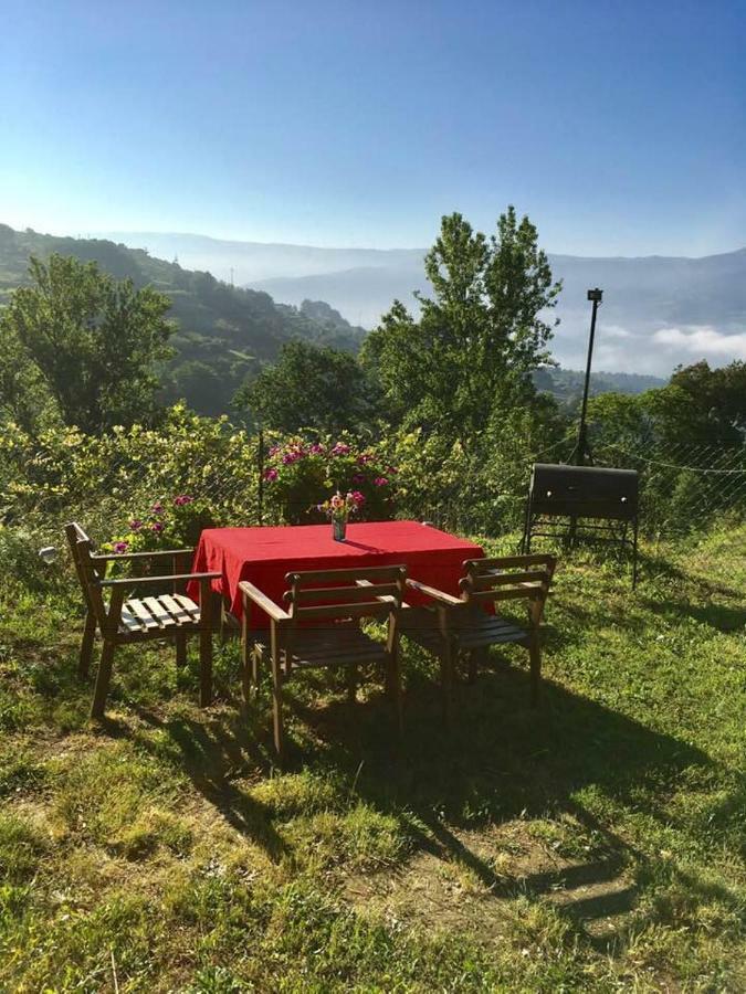 Woodpecker Yurt Hotel Santa Cruz do Douro Exterior foto